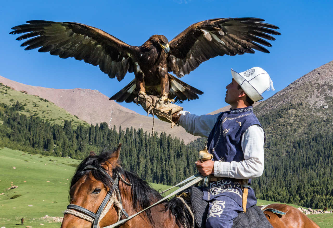 Démonstration de chasse à l'aigle en Kirghizie