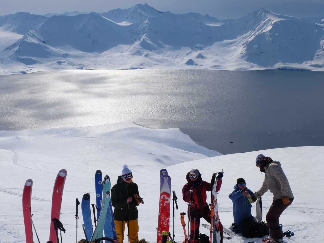 Dépeautage au Spitzberg