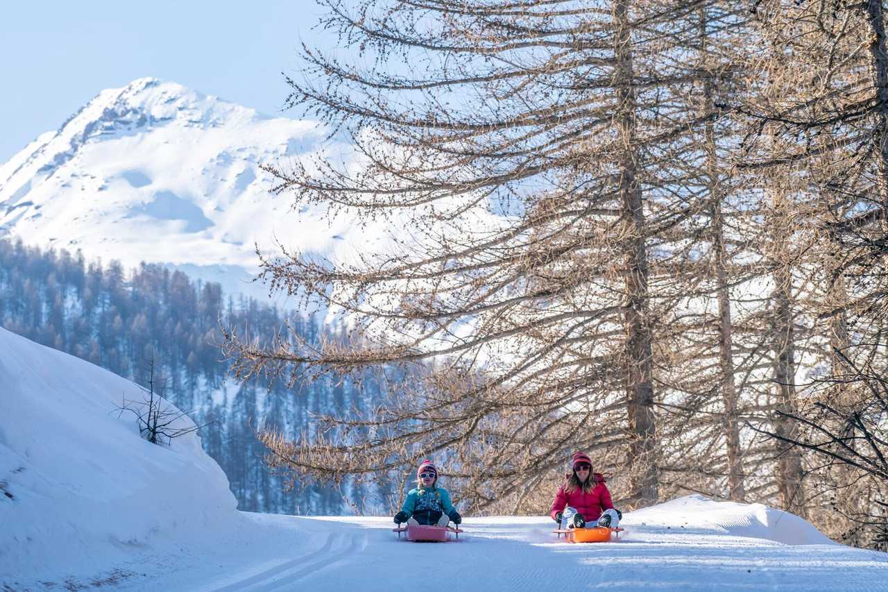 Descente en luge dans les forêts de mélèzes, Vallouise, Alpes du sud