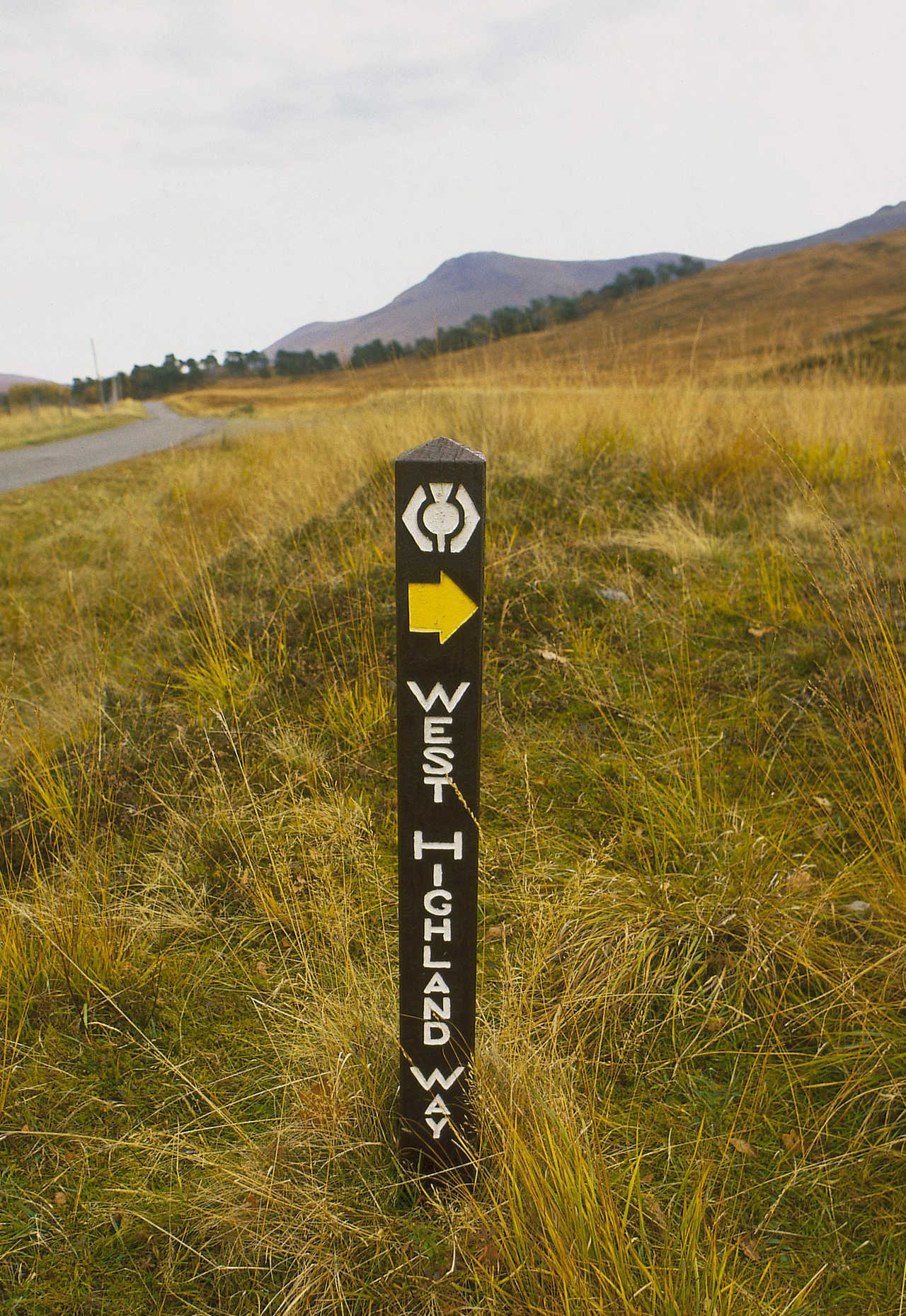 Direction West Highland