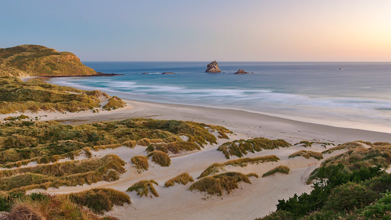 Dunedin Nouvelle Zélande plage