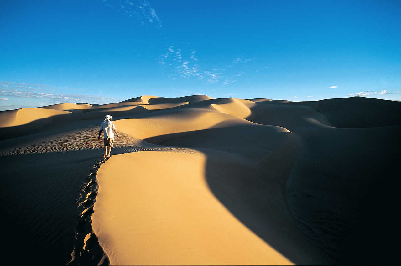 Dunes au coucher, erg Ouarane, Mauritanie