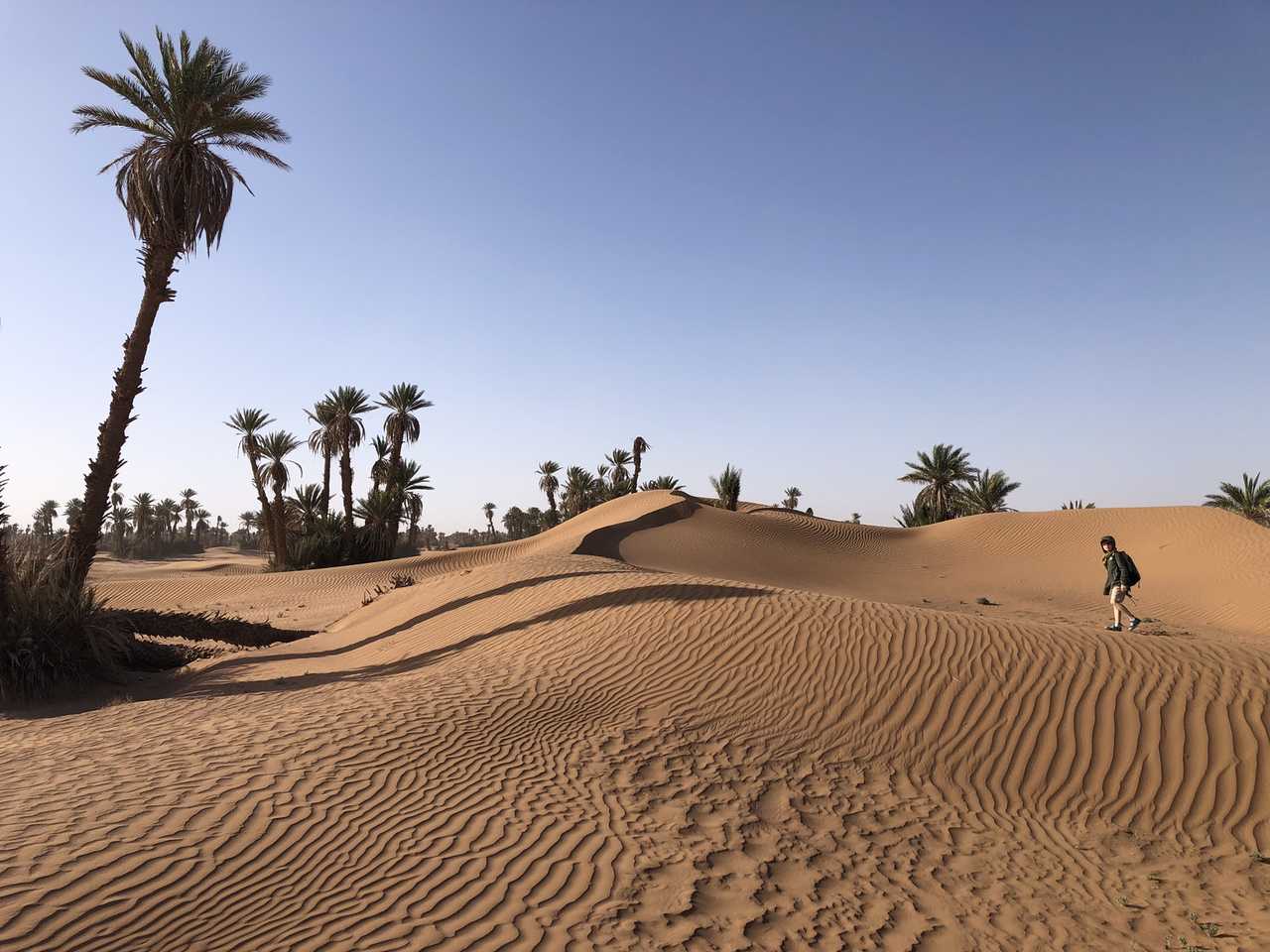 Dunes de Ras Enkhel, Draa, Maroc