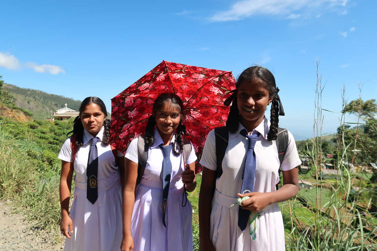 écolières sri lankaise sur le chemin de l'école au Sri Lanka