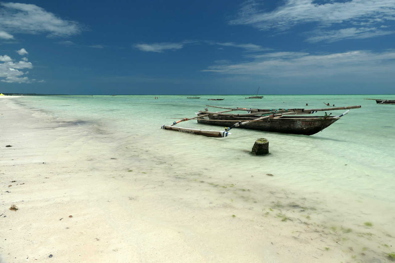 Embarcations typiques zanzibarites sur la plage de Jambiani Tanzanie