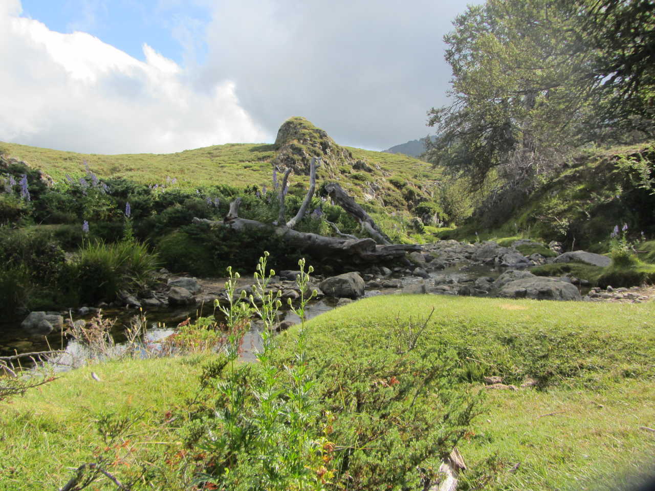 En montant vers les bergeries d'Asinao