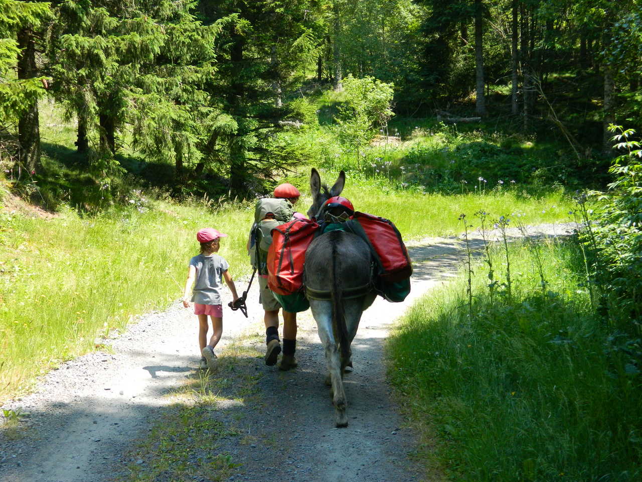 Enfant marchant en tenant un âne sur un chemin de randonnée