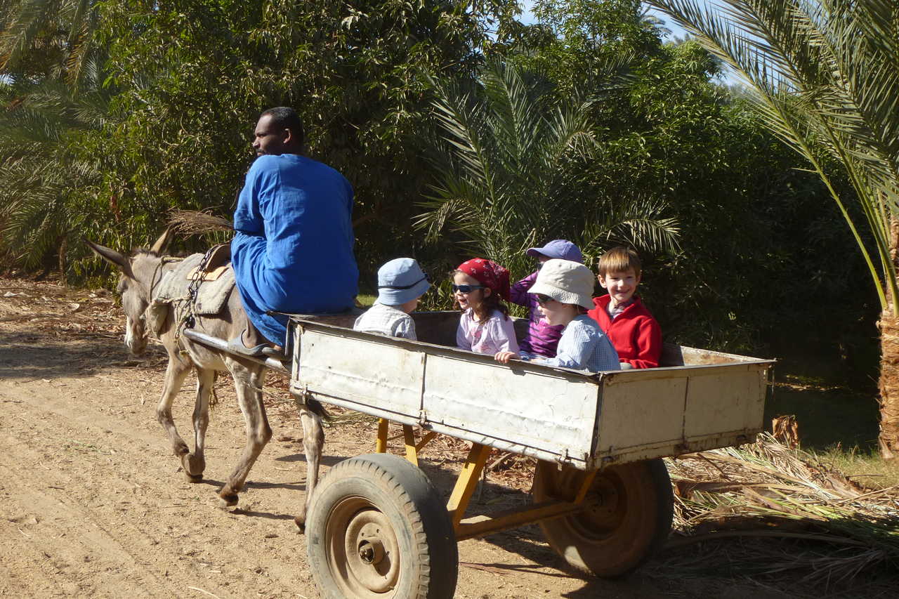 Enfants à bord d'une charrette dans une palmeraie en Egypte