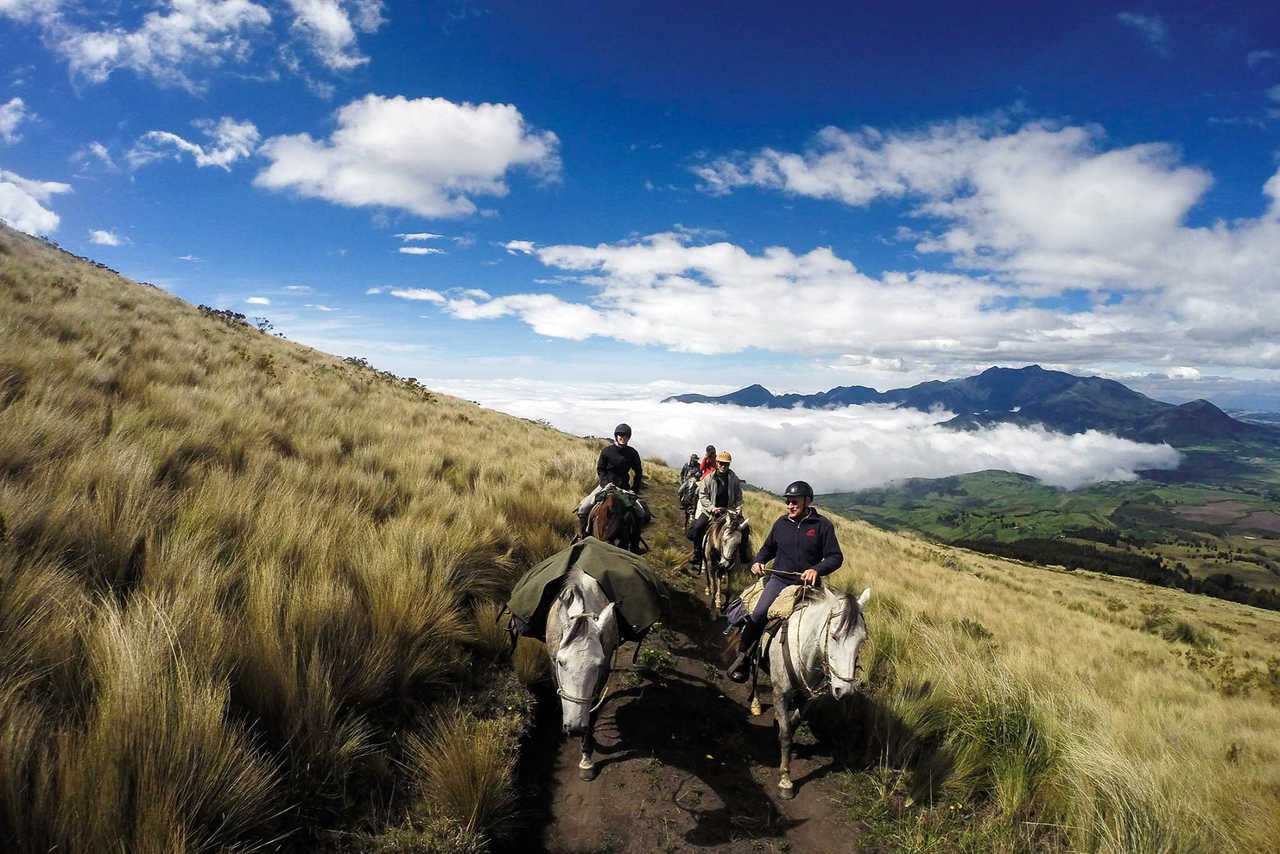Equateur, cavaliers et chevaux de bâts