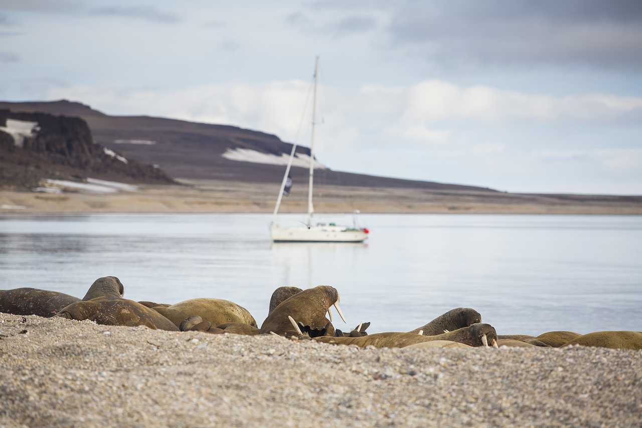Expédition au Svalbard avec Valiente