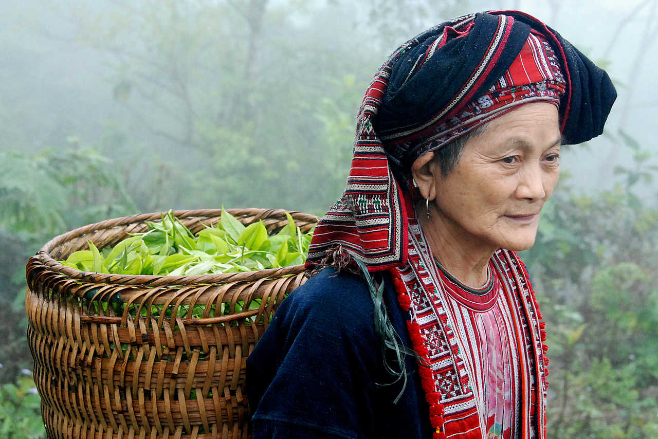 Femme en costume traditionnel des minorités ethniques au Vietnam