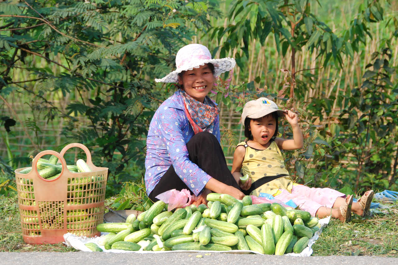 Femme et fillette vendant des légumes au Vietnam