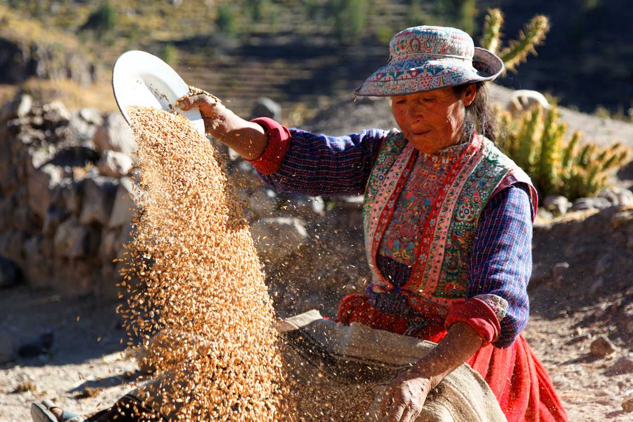 femme péruvienne qui travaille au Pérou