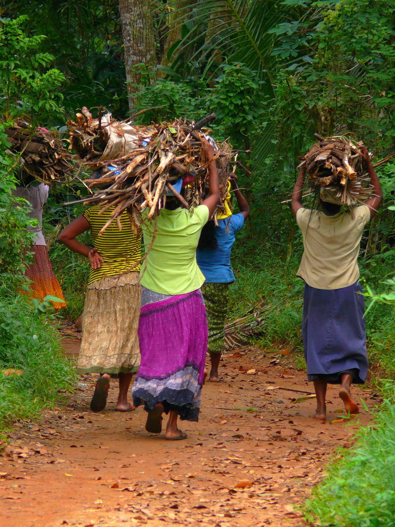 Femmes transportant du bois au Sri Lanka