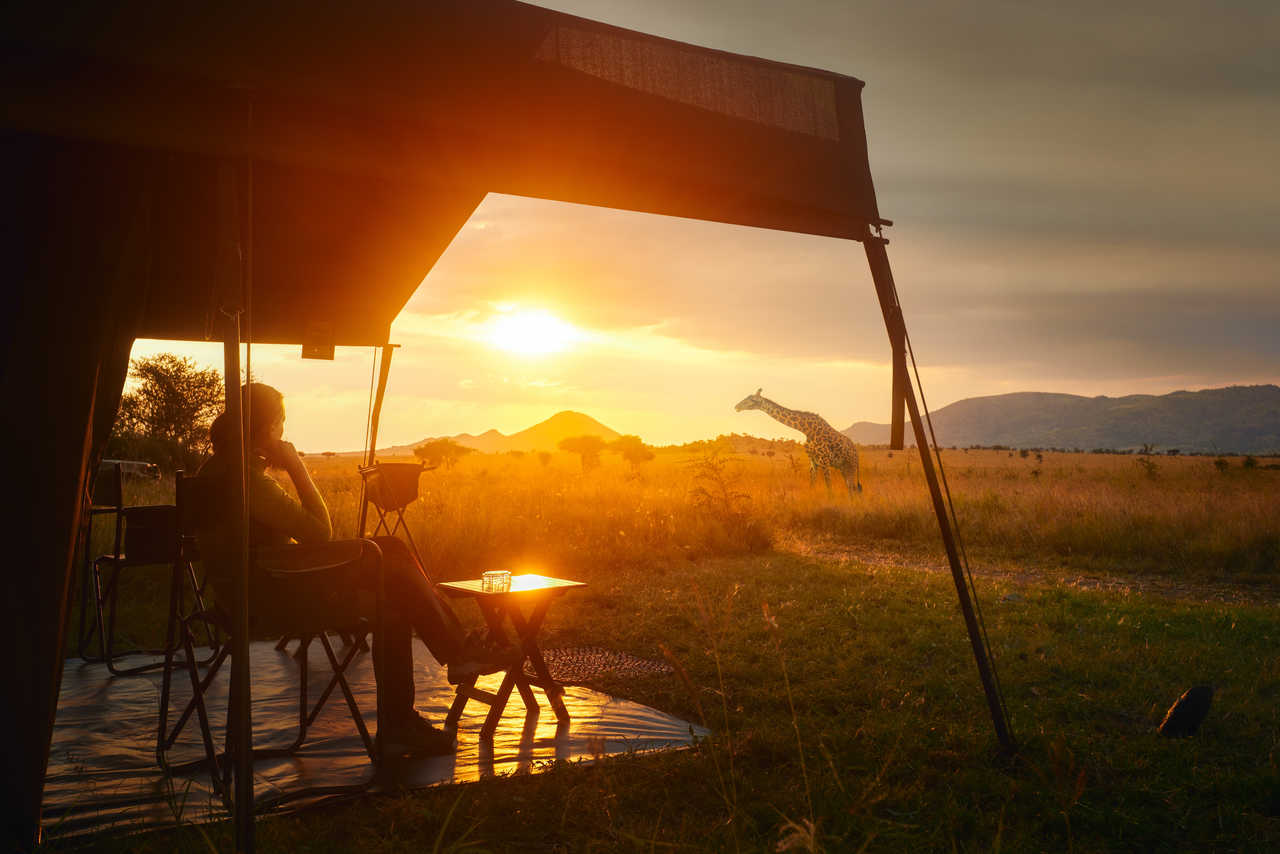 Image Kili Lemosho et safaris en lodges et camp de toile