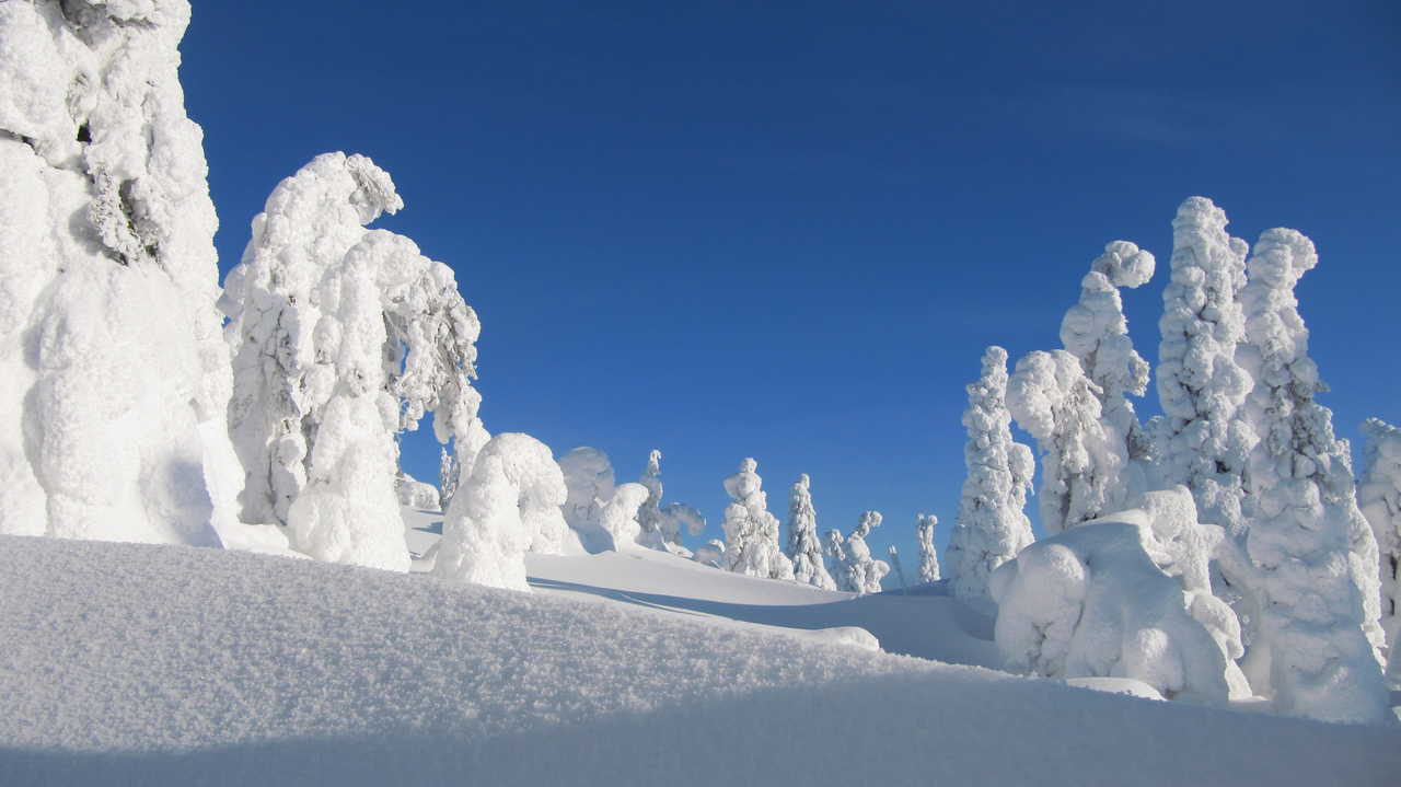 Finlande sous la neige