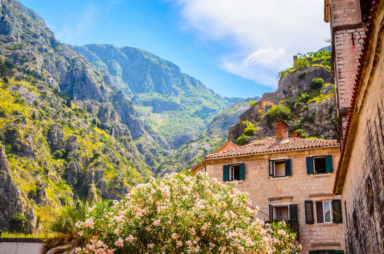 fleur et jolie petite maison en Albanie
