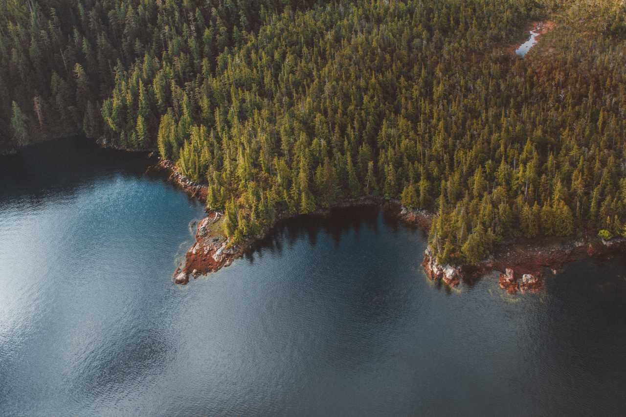 Photo forêt Alaska