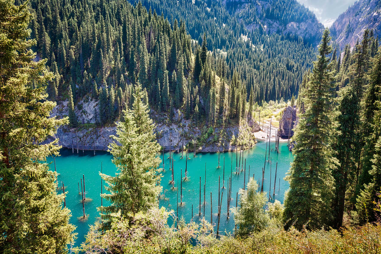 foret-pins-lac-kaindy-kazakhstan