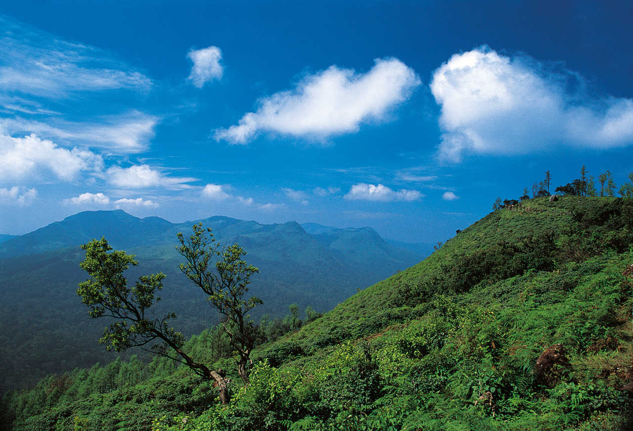 Ghats occidentaux Chaîne de montagnes en Inde