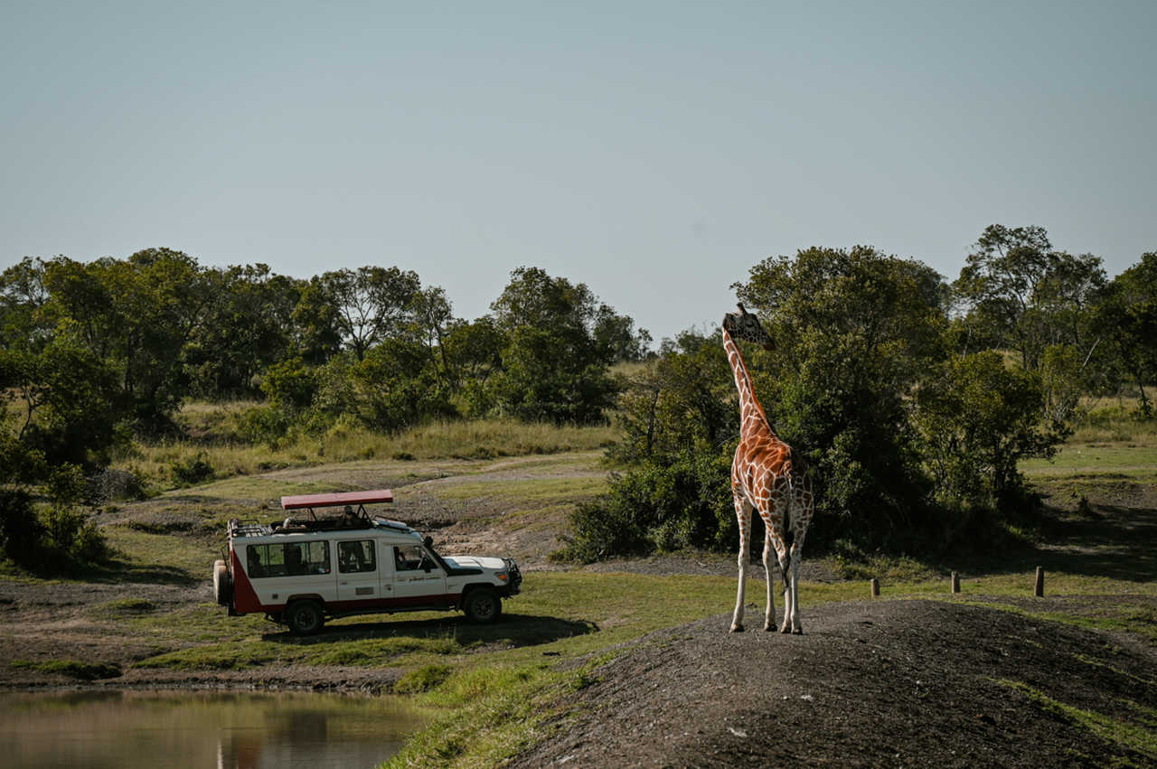 girafe devant un 4x4 Atalante pendant un safari au Kenya