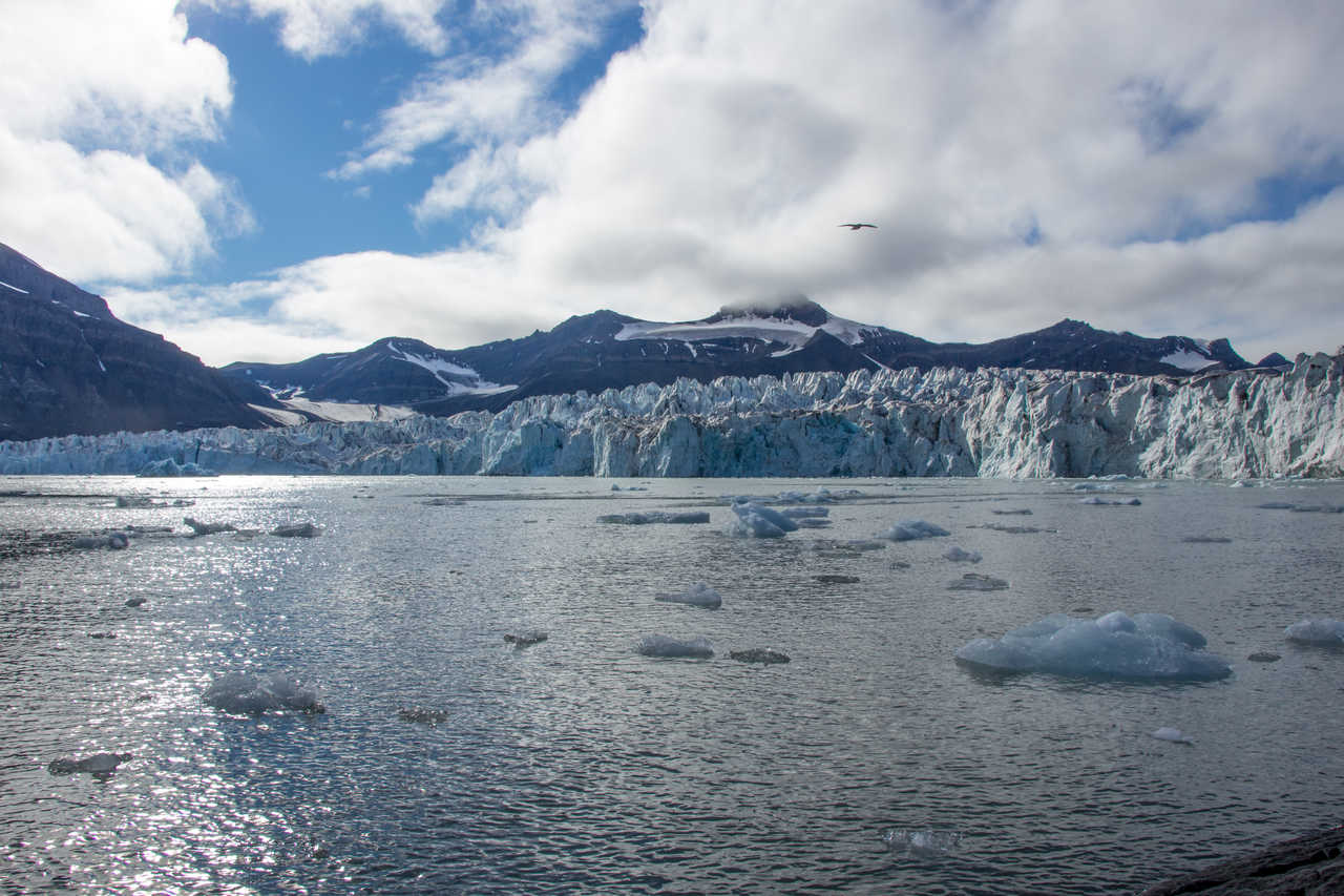 Glacier de Svéa Spitzberg