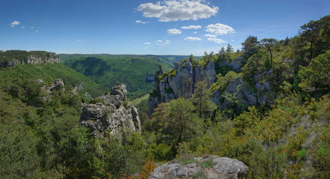 Gorges de la Dourbie