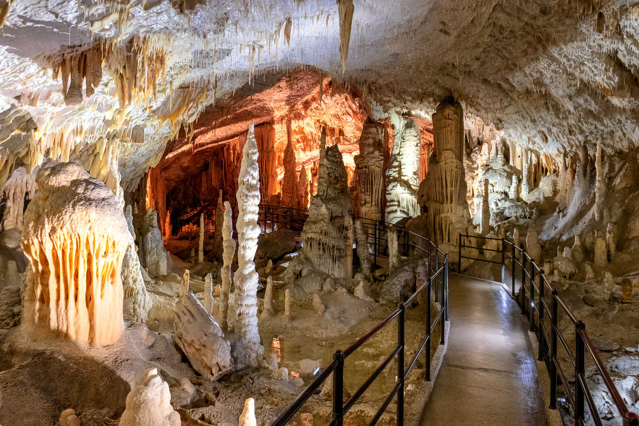 grottes de Postojna, le plus long système de grottes d'Europe, en Slovénie