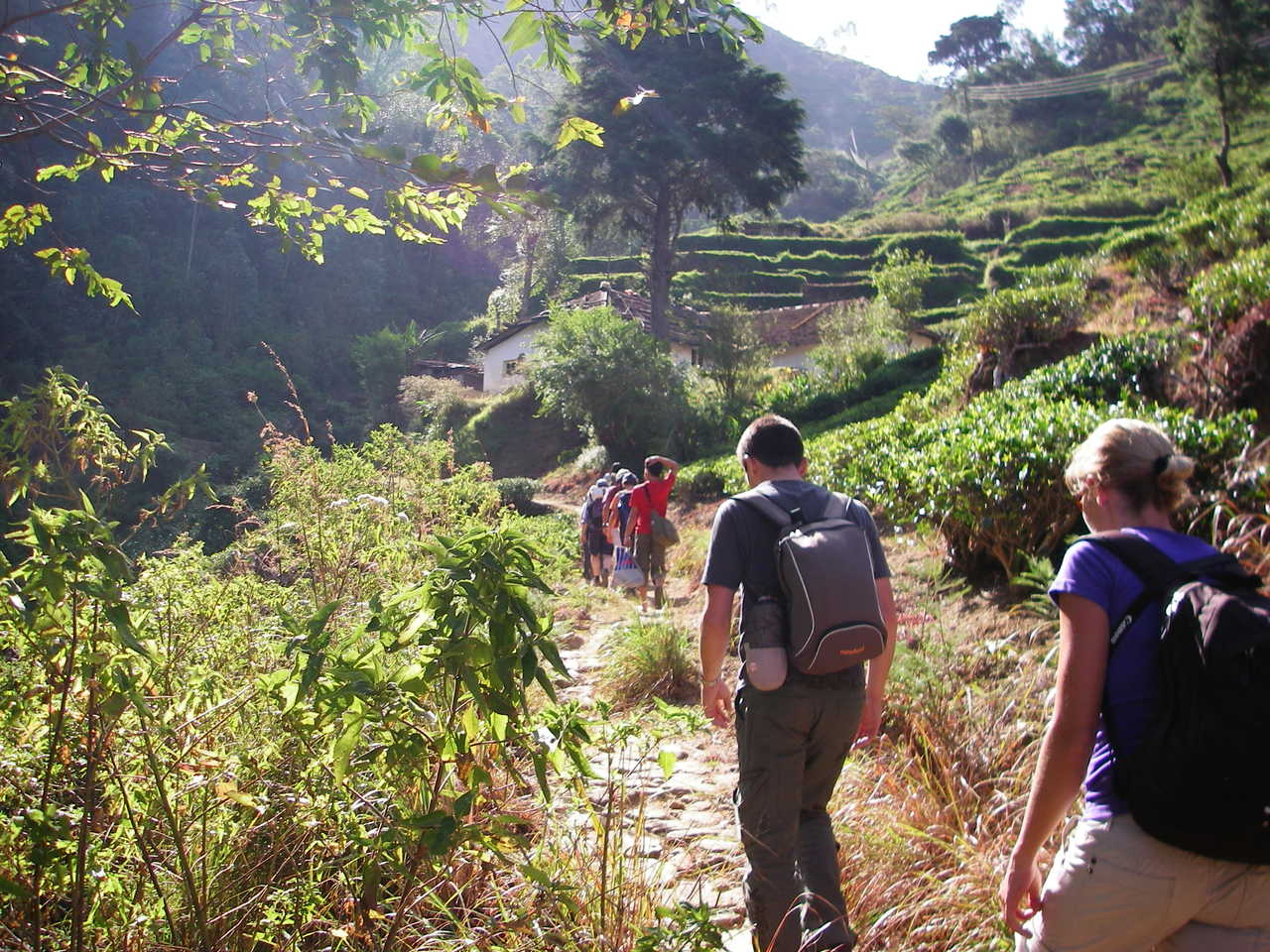 groupe de randonneurs en pleine randonnée au Sri Lanka