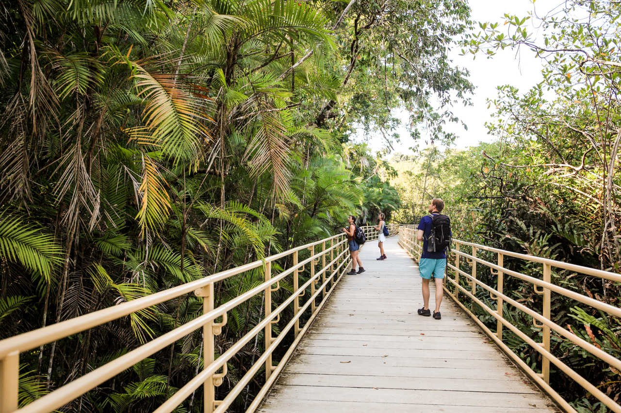 Groupe de randonneurs sur un pont au Costa Rica