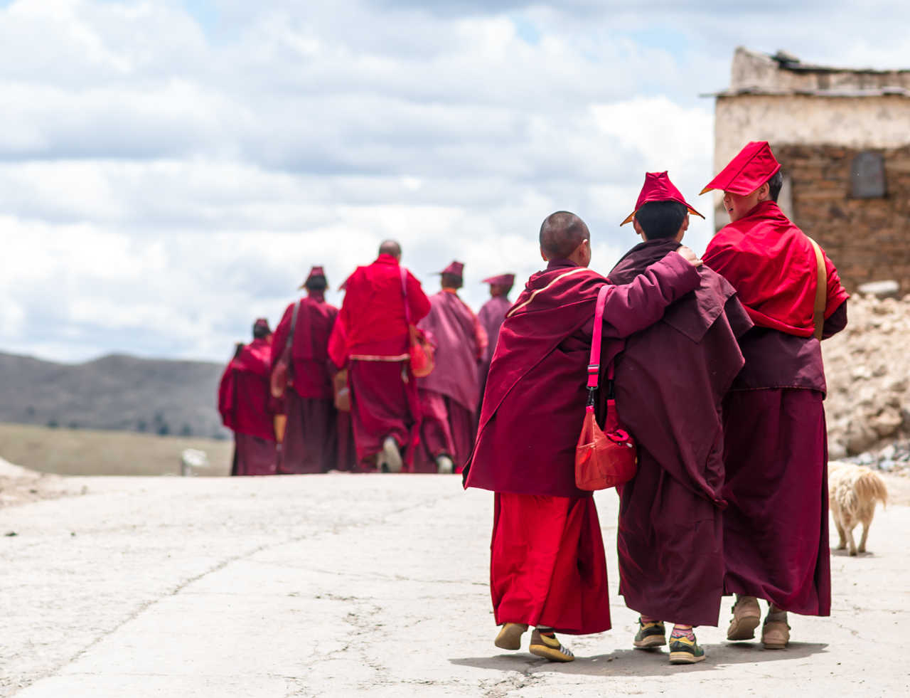 Groupe d'étudiants de moines tibétains au Tibet