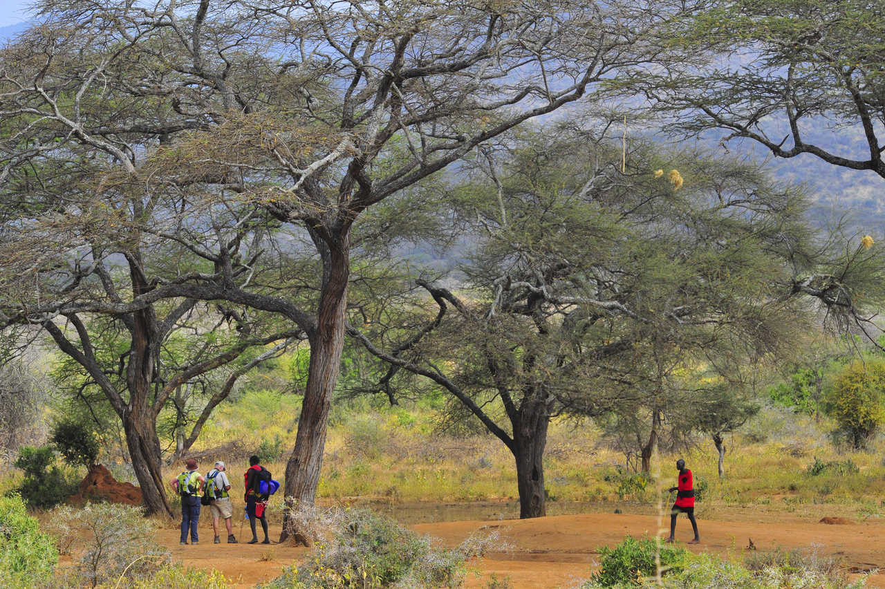 Groupe voyageurs avec masaï brousse kenya