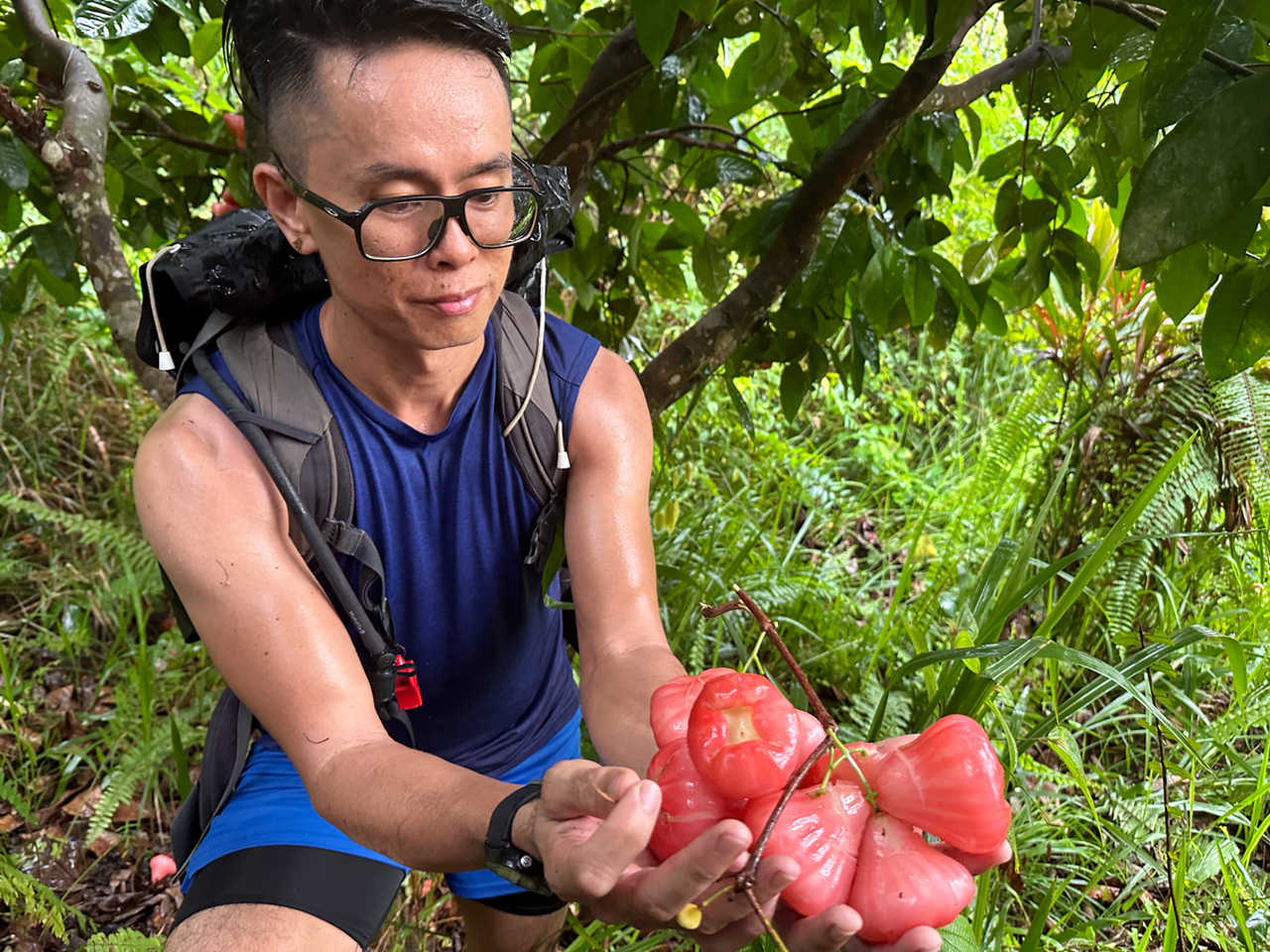 Guide de Malaisie montrant des fruits exotiques pendant la randonnée