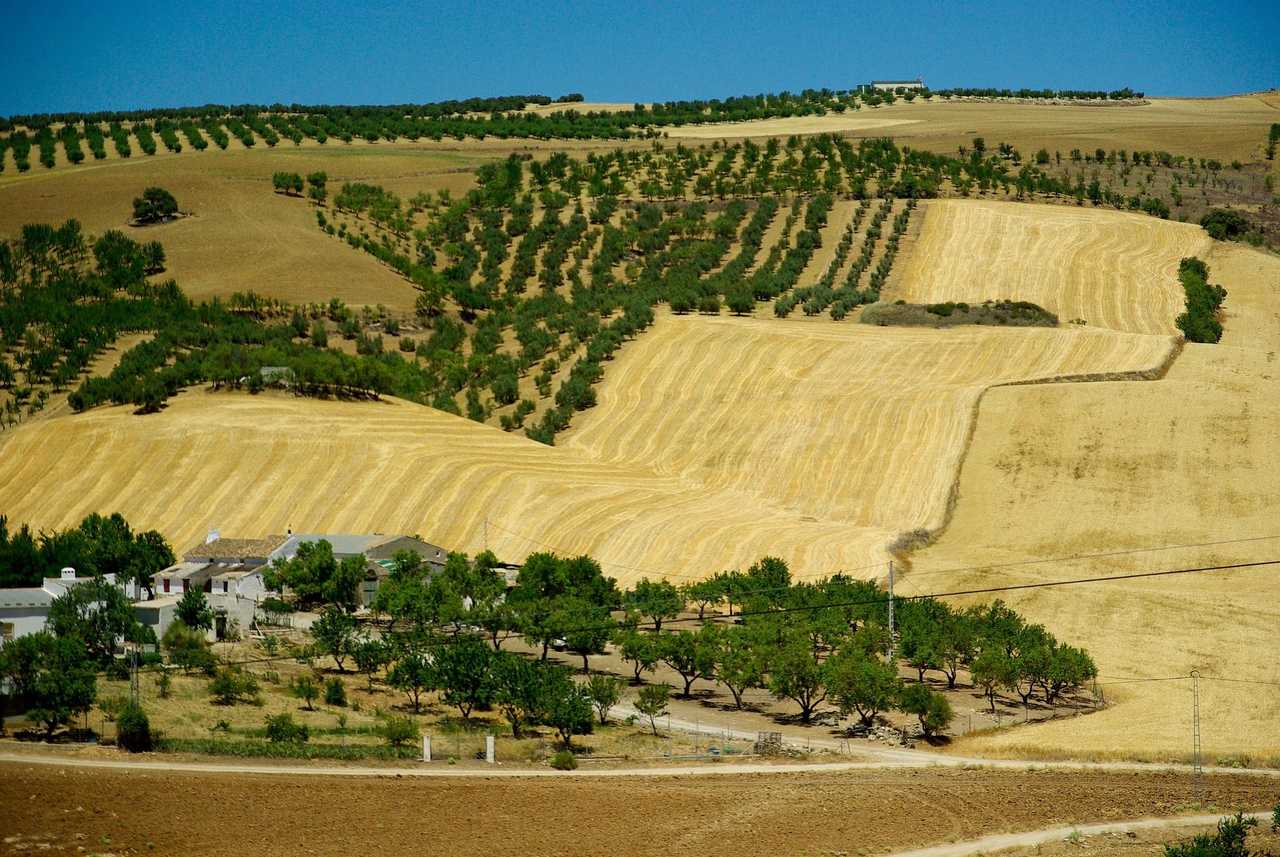 Hacienda andalouse