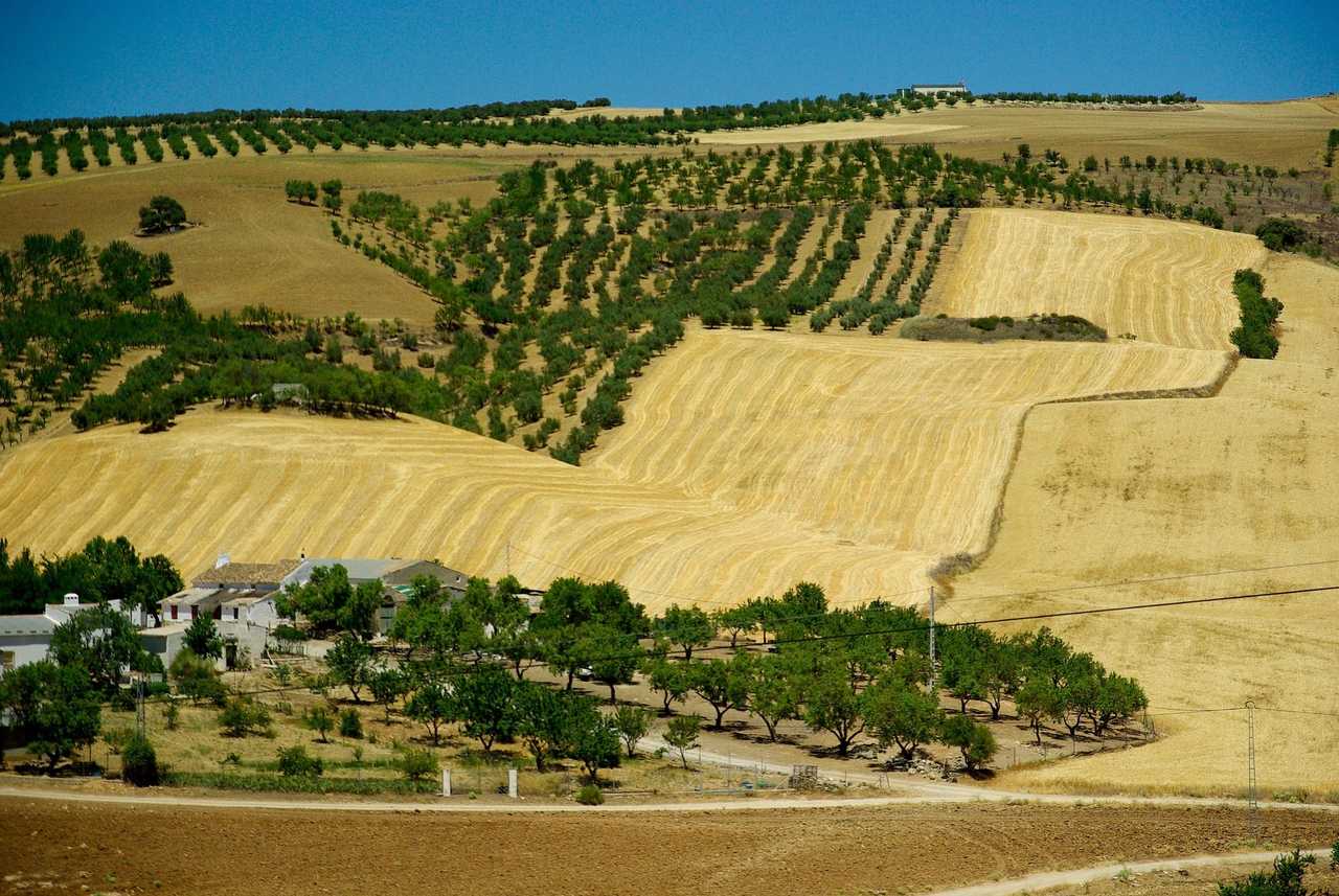 Hacienda andalouse en Espagne