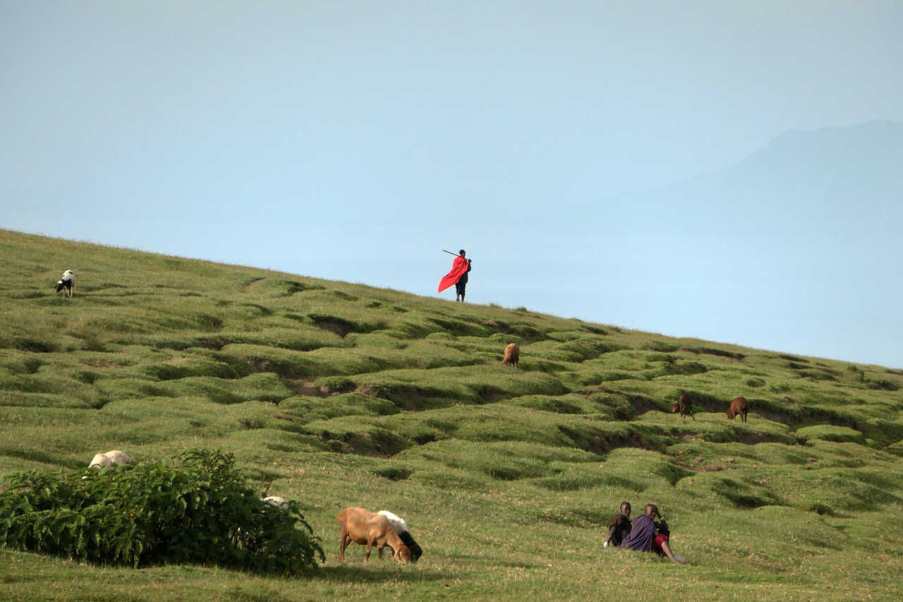 Homme masai avec sa tenue traditionnelle  flottant avec le vent dans les terres du rift en Tanzanie