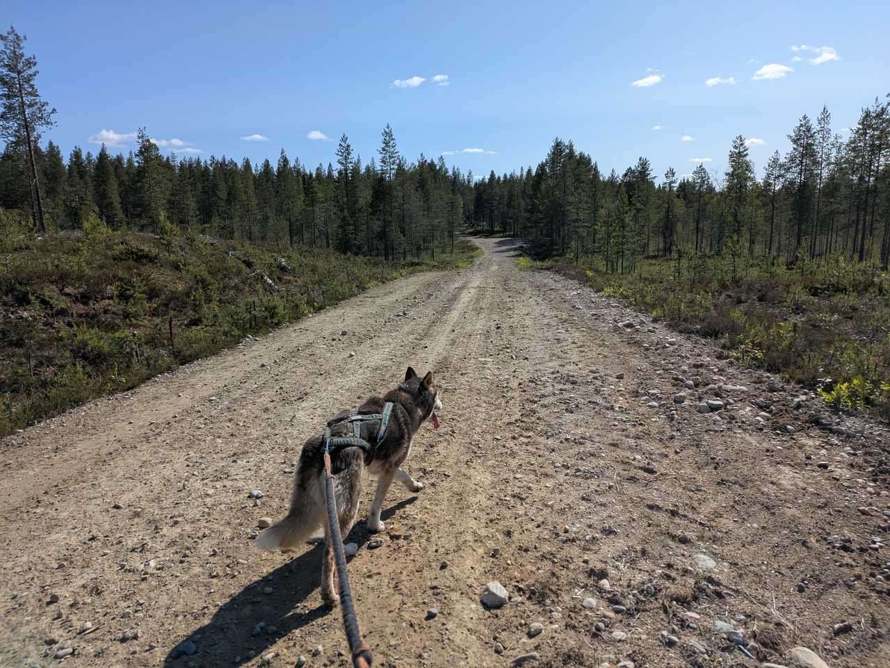 Hossa en été © Liegard Emilie Hossa en été