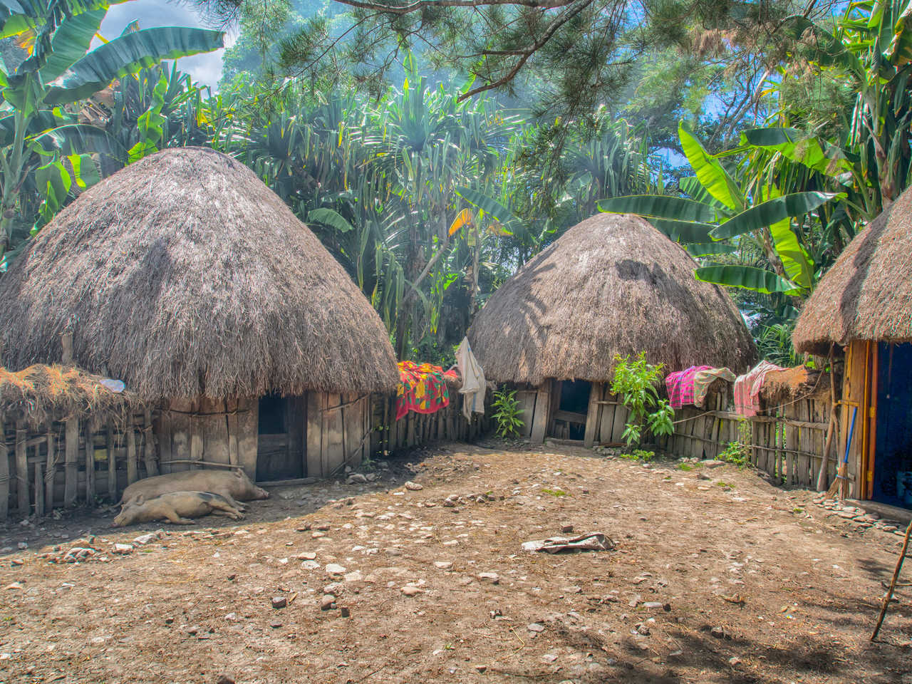 Hutte traditionnelle, vallée de Baliem