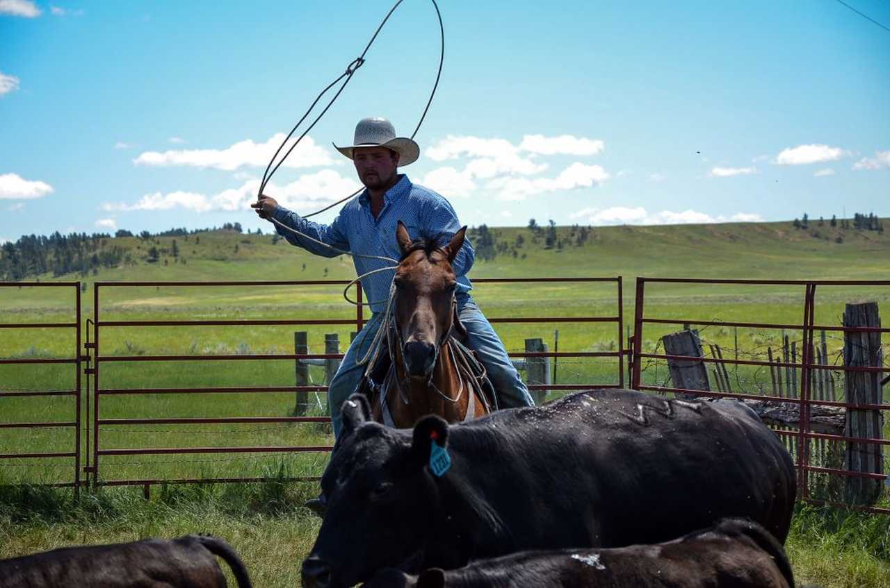 Immersion équestre dans un ranch du Wyoming