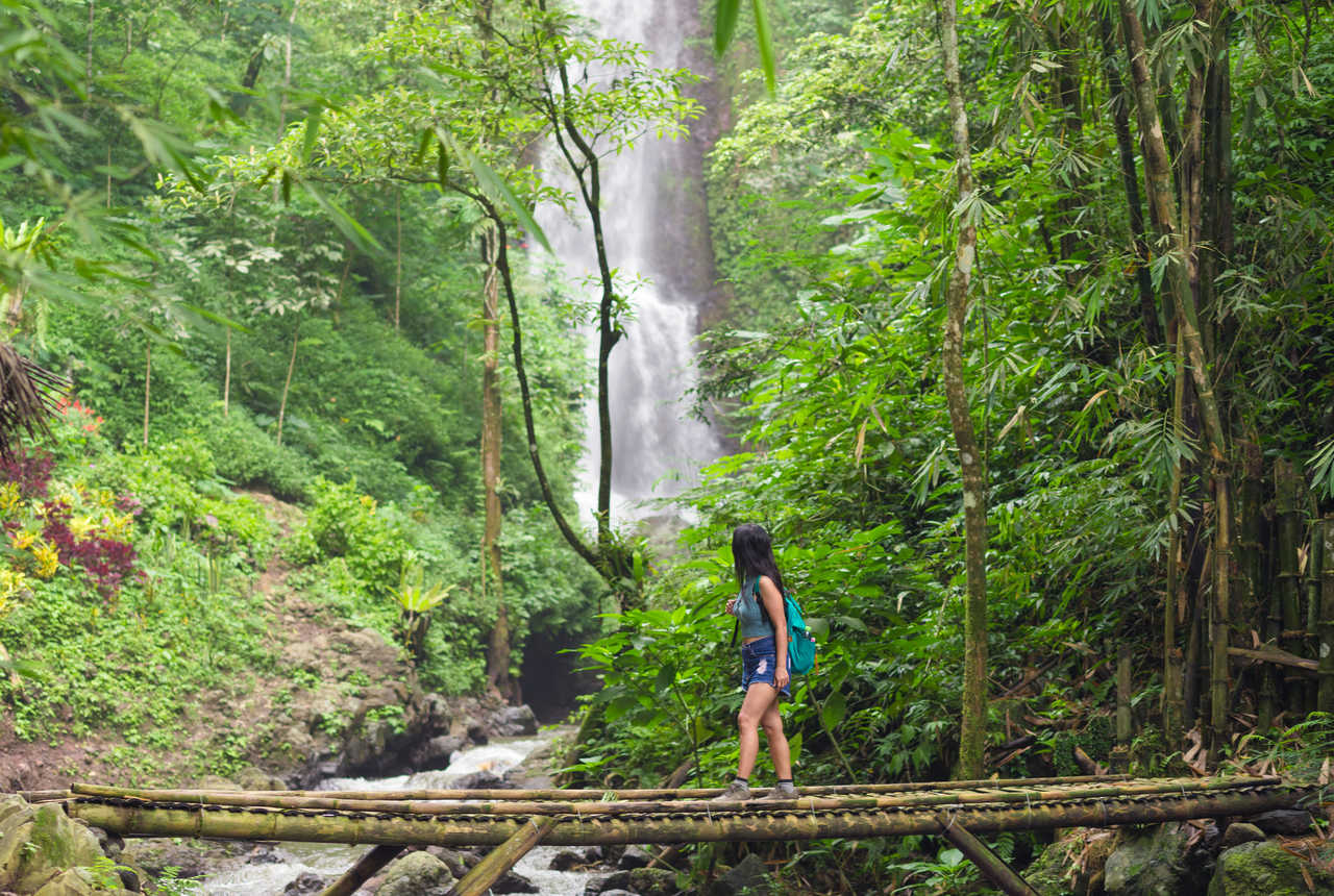 Indonésie Trek Jungle Bali