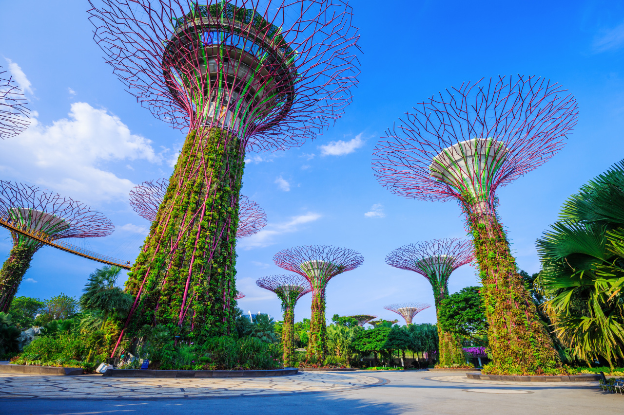 Jardins de la baie à Singapour