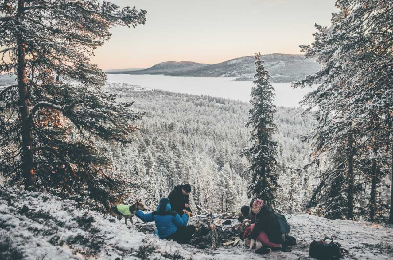 Journée de randonnée en Laponie Suédoise