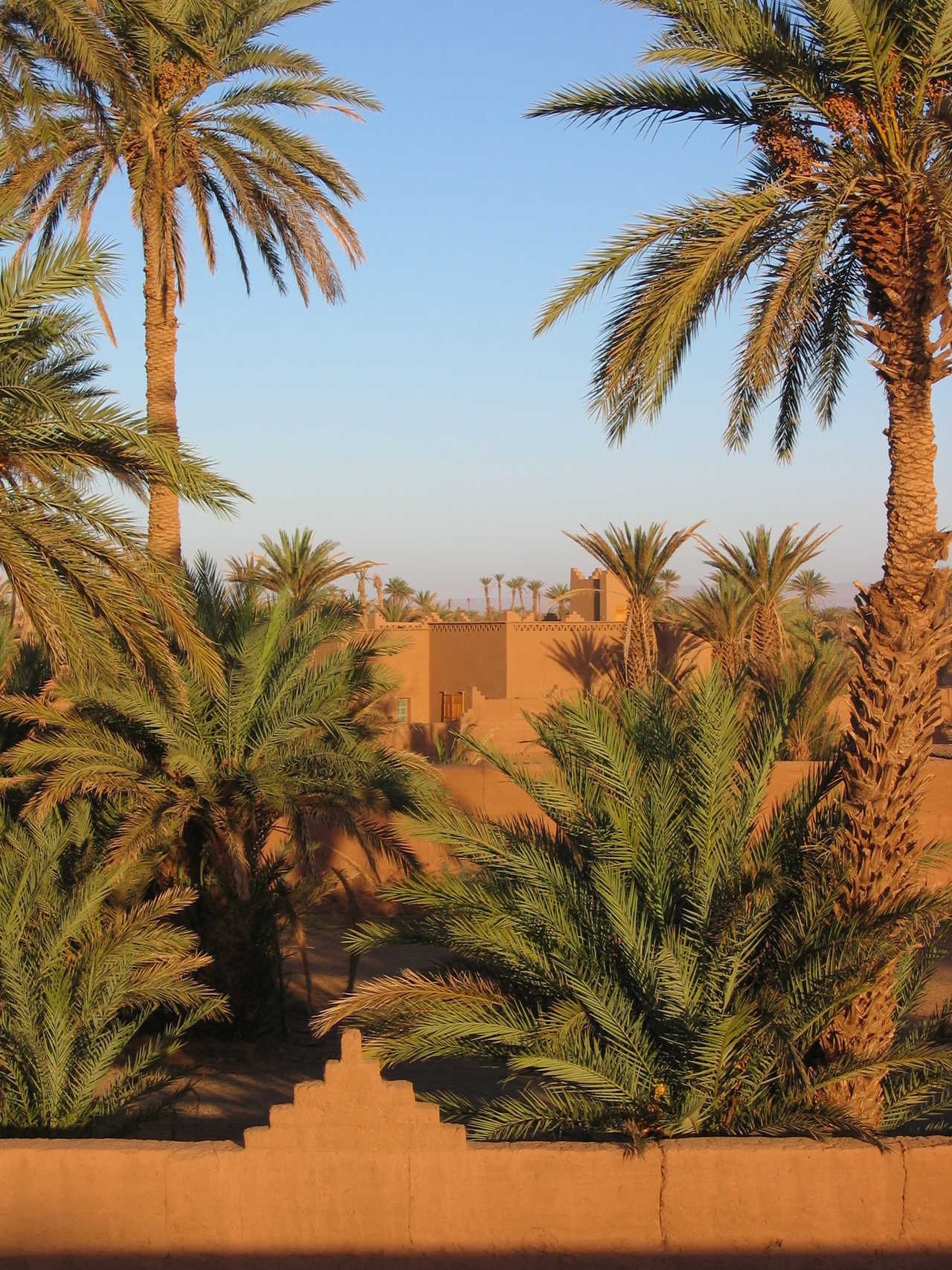 Kasbah Tazzarine, Maroc