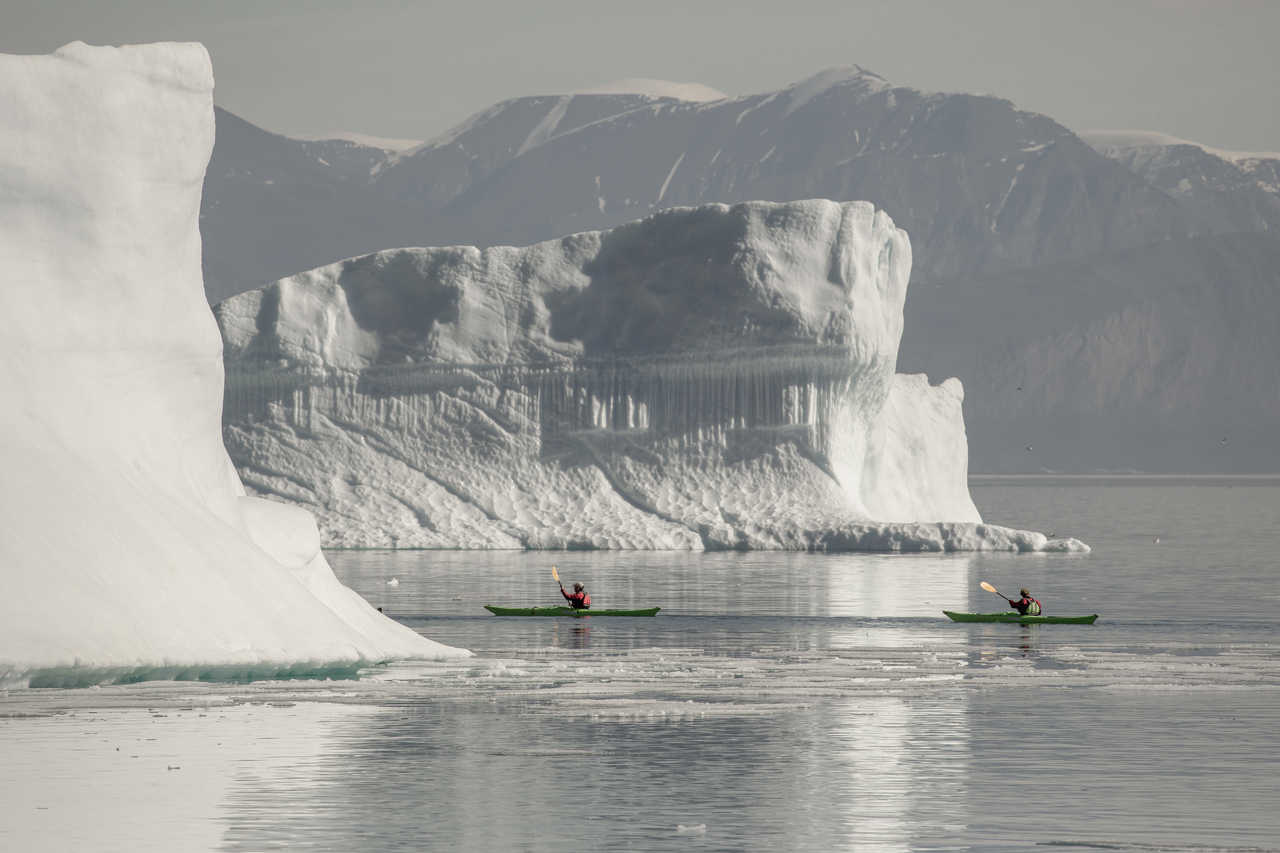 Kayak au milieu des icebergs géants