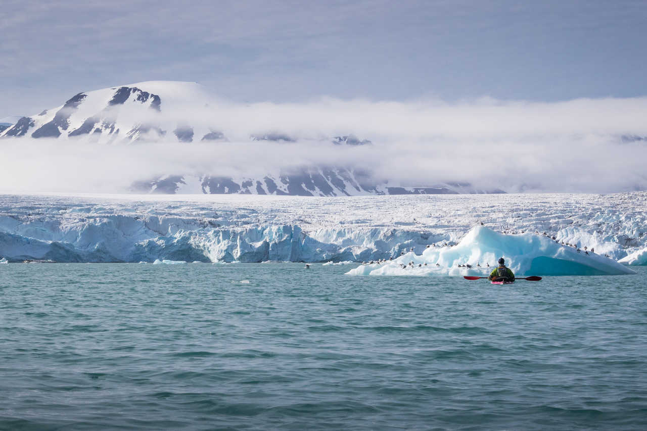 kayak de mer en Arctique, au pied des glaciers
