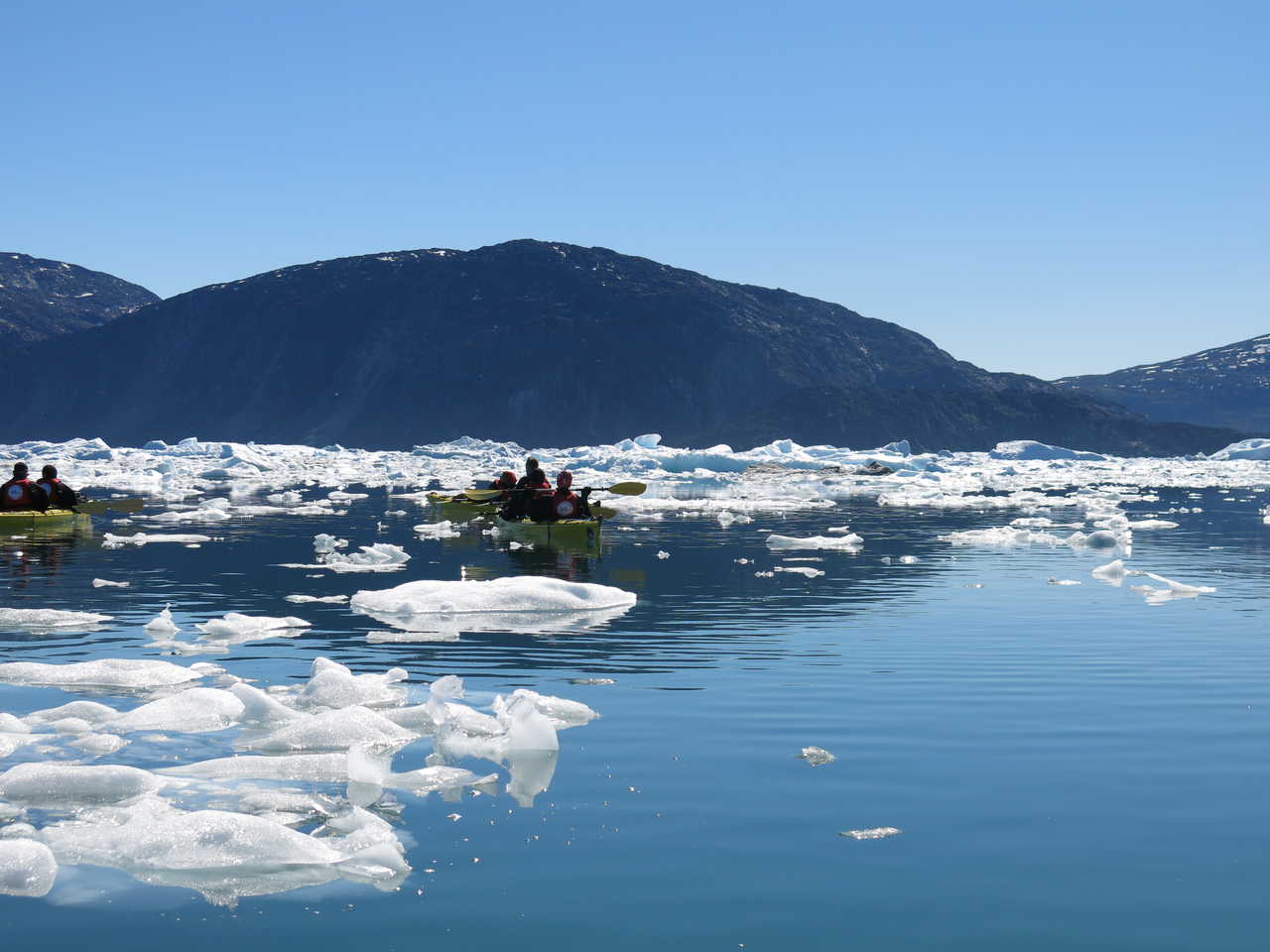 Kayak parmi les icebergs, Groenland