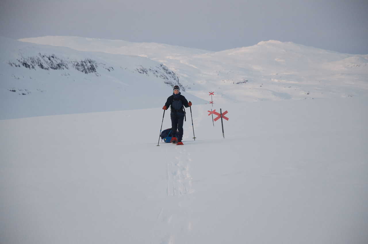 Kungsleden en hiver raid hivernal Suède