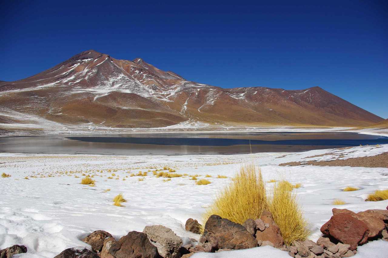 La laguna Miscanti, Atacama, Chili
