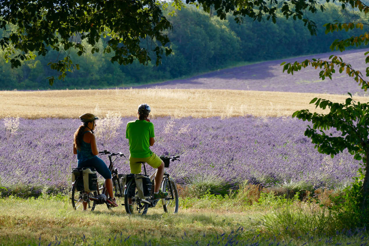 La Provence à vélo