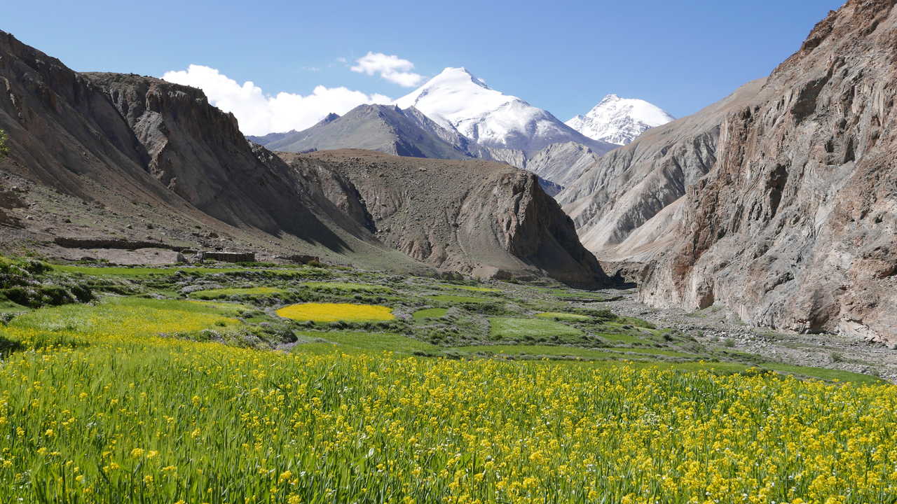 La vallée de la Markha, vue sur le Kang Yatse, en Inde Himalayenne